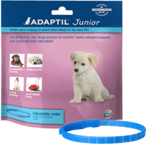 ADAPTIL JUNIOR COLLAR