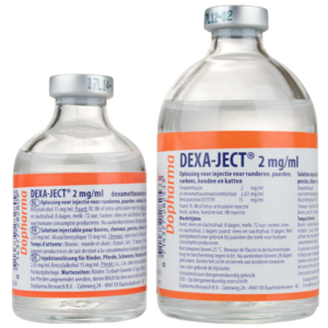 DEXAJECT INJ. 2mg/ml 100ml