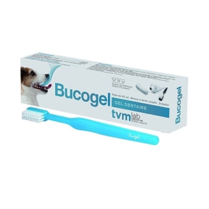 BUCOGEL 50ml ΟΔΟΝΤΟΚΡΕΜΑ & ΒΟΥΡΤΣΑ