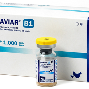 HIPRAVIAR-B1*1000