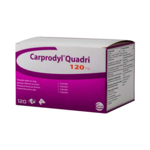 CARPRODYL QD 120mg *120 Tabs