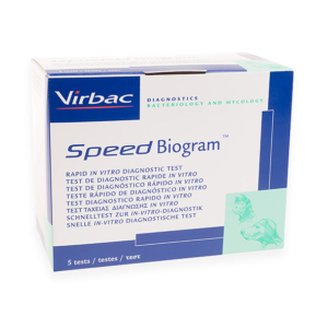 SPEED BIOGRAM *5 TEST