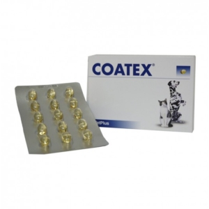 COATEX *60 Caps