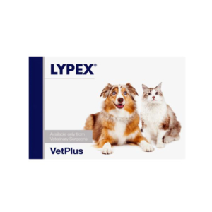 LYPEX *60 Caps