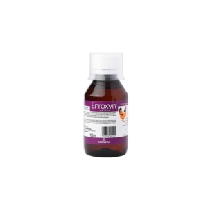 ENROXYN 10% 100ml