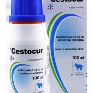 CESTOCUR 2,5% 100ml